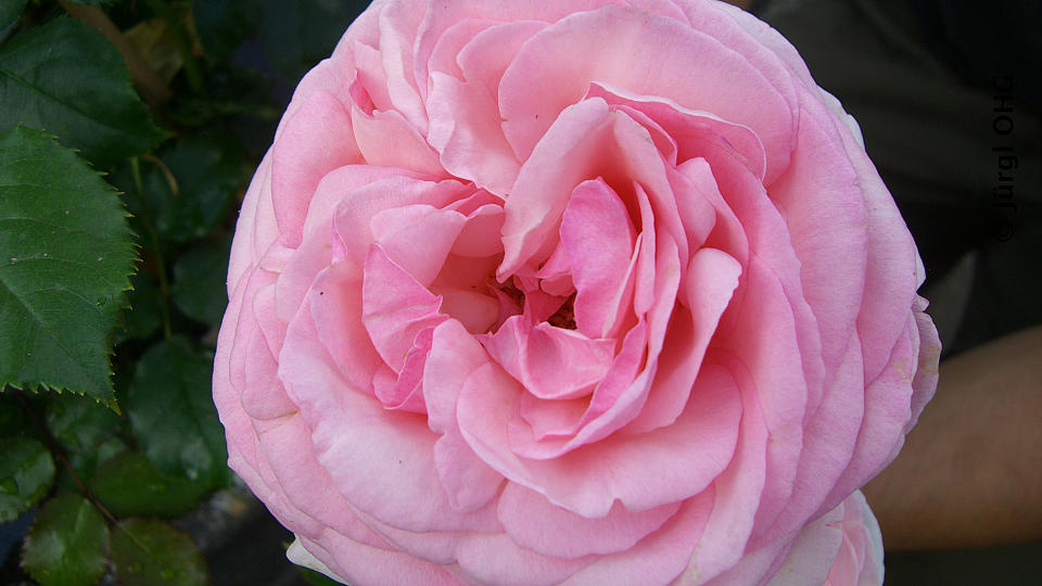 <tmpl_var block_image_description | HTML >