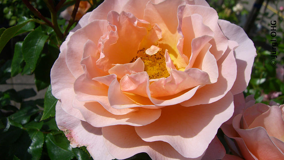 <tmpl_var block_image_description | HTML >