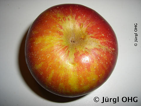<tmpl_var block_image2_description | HTML >