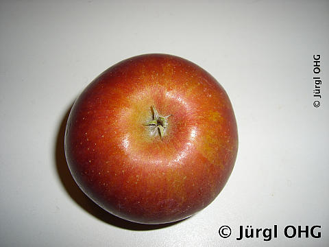 <tmpl_var block_image3_description | HTML >