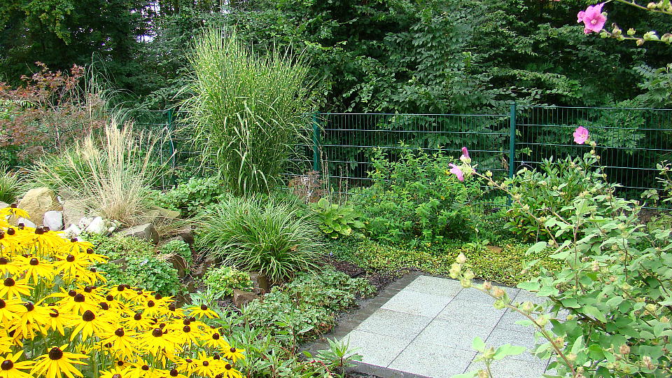 <tmpl_var site_image_description | HTML >
